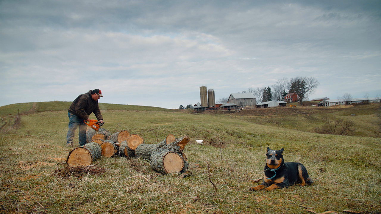 Man in field chopping wood nothing in background 