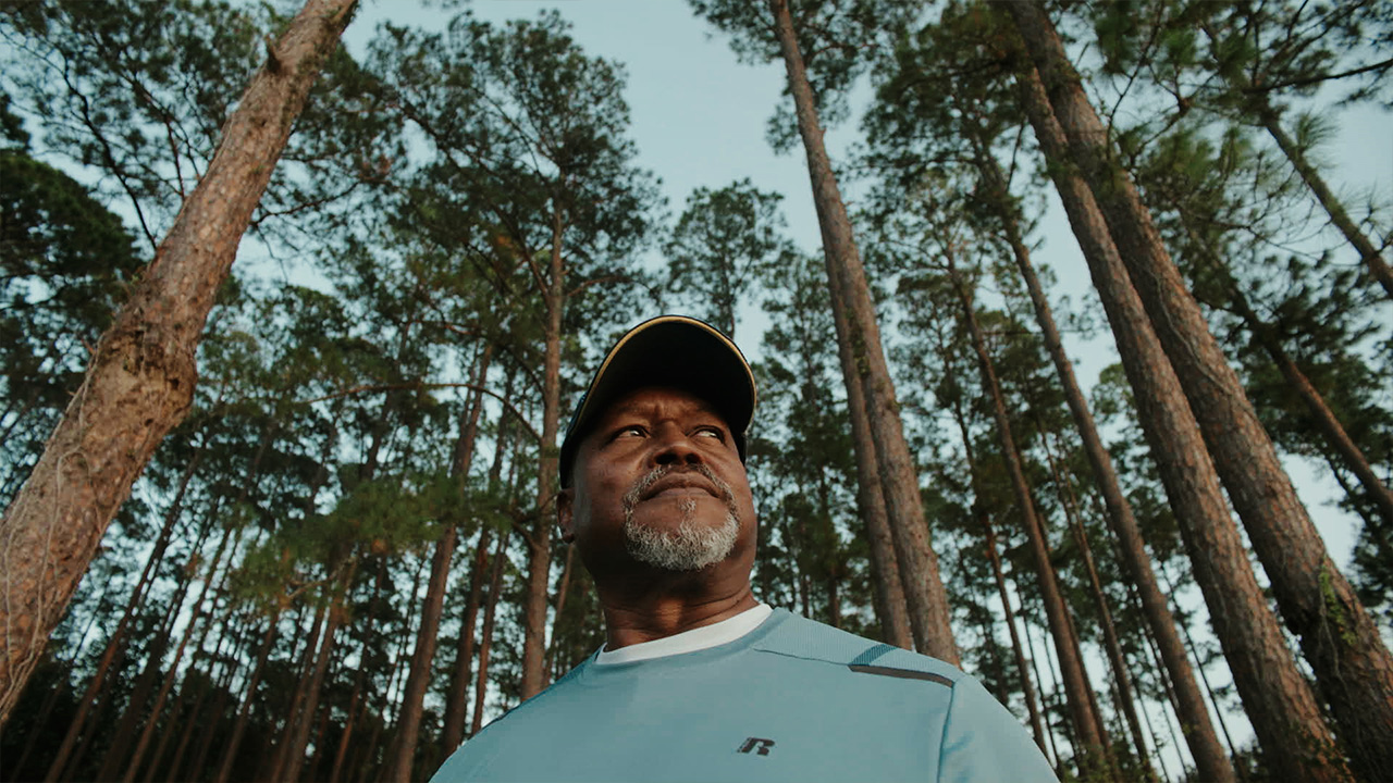 man looking into distance with trees standing tall behind him